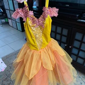 Daughter outgrew dance costumes. Making room in my closet. Gently used. IC & SC